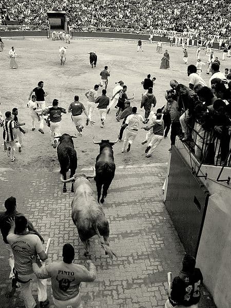 Festival along the Camino