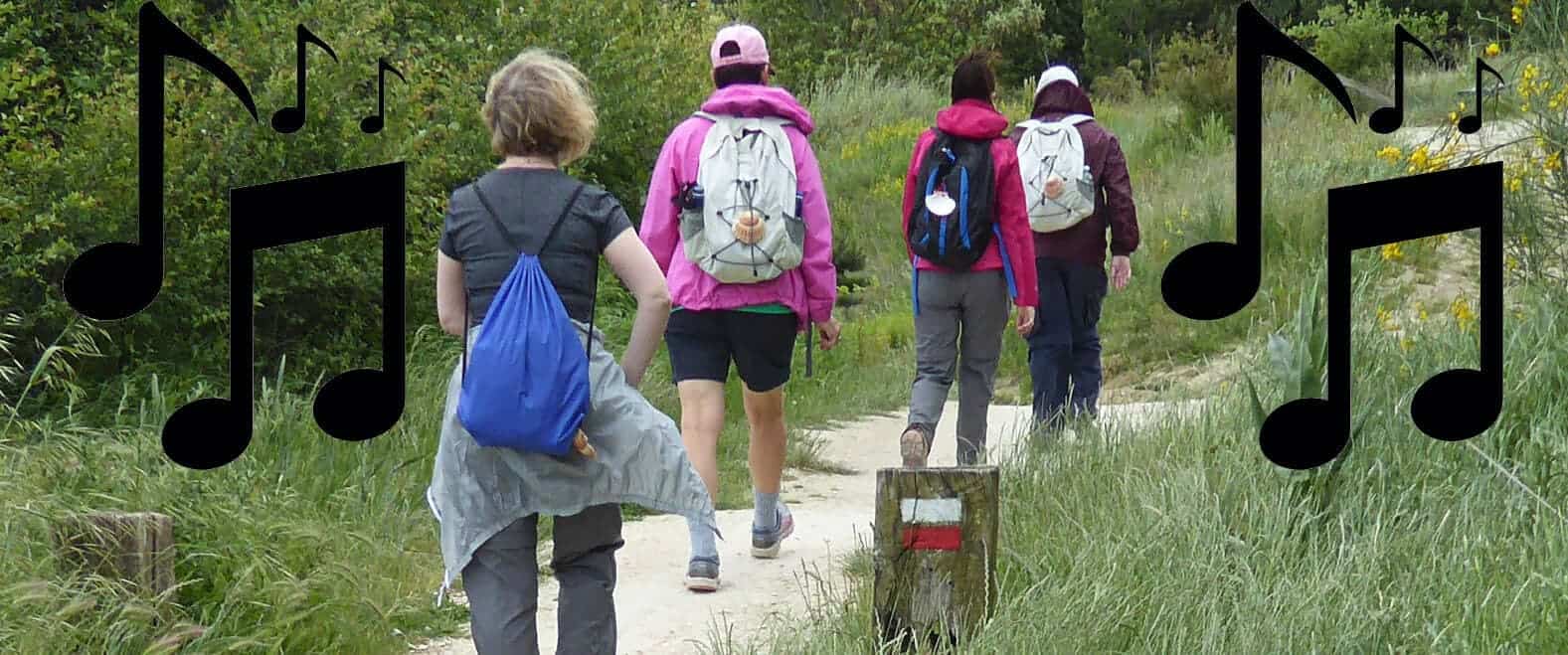 Recommended songs for walking the Camino de Santiago image