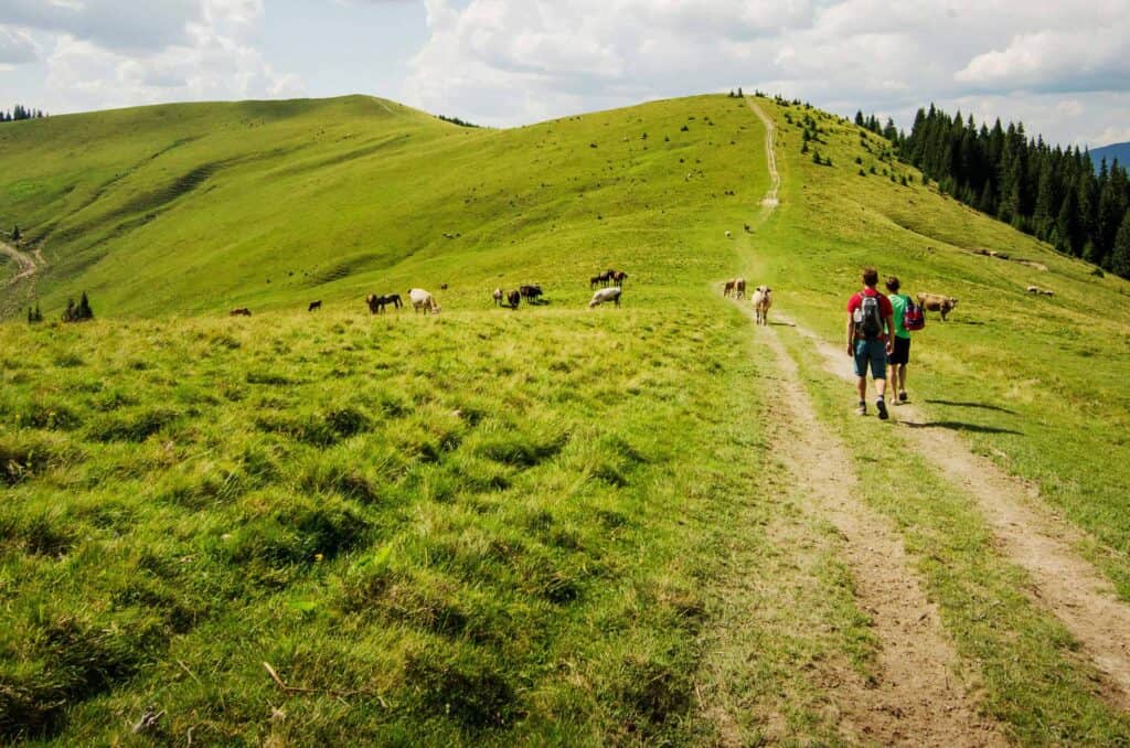 walking the Camino Primitivo