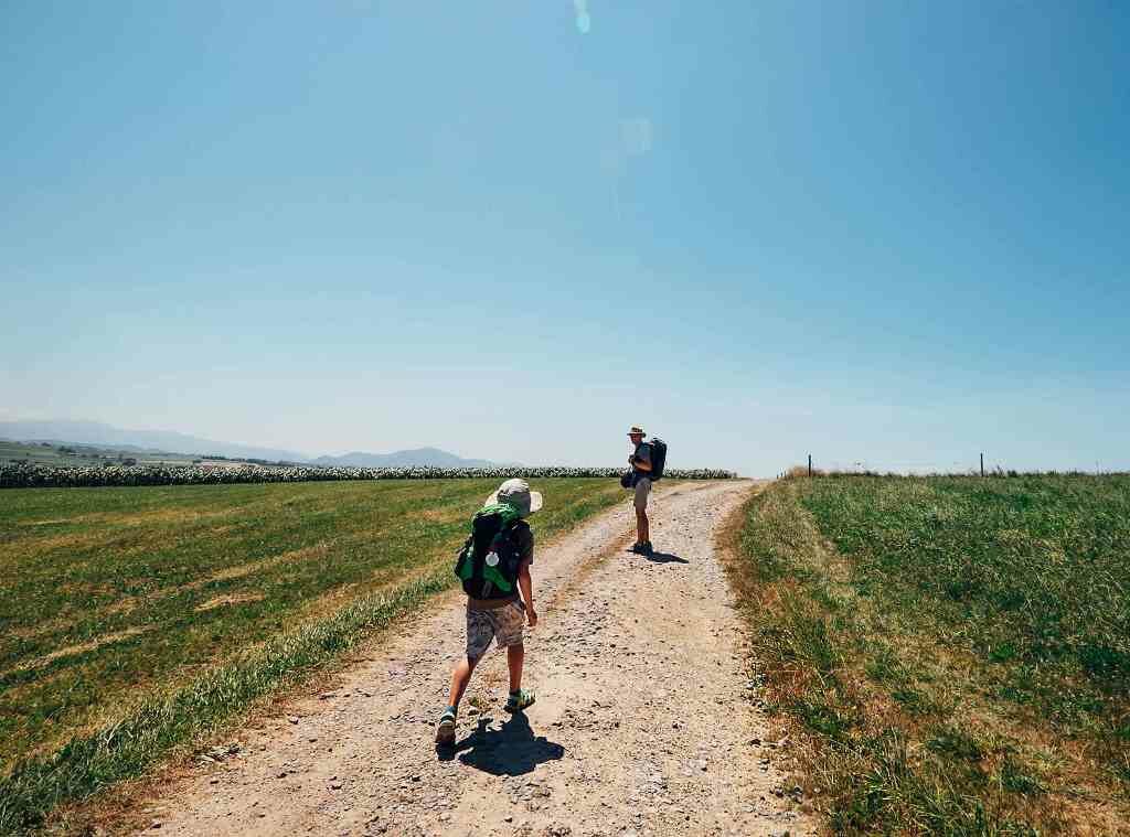 Camino del Norte image