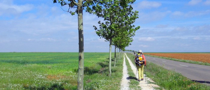 Walking to the camino to reduce stress