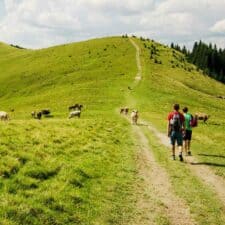 Camino Primitivo Landscape