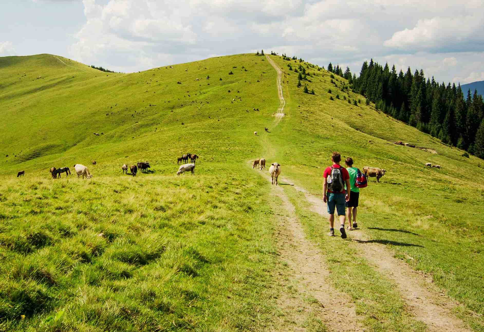 Camino Primitivo Landscape