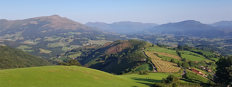 Camino Frances Pyrenees