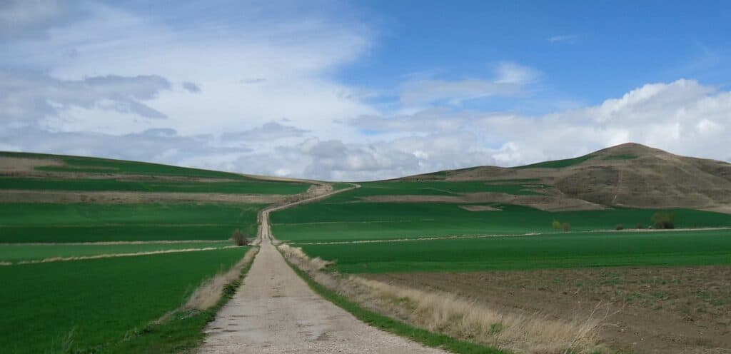 Camino Frances Logrono to Burgos