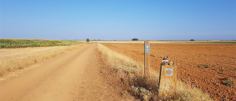 Camino frances from Fromista to Leon