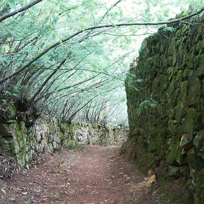 camino de santiago