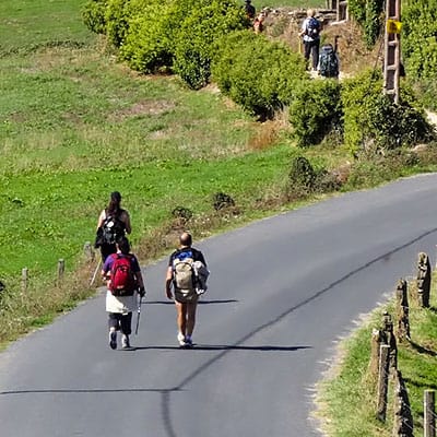 Camino country road