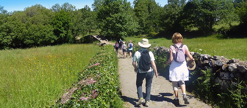 spring walk on the camino