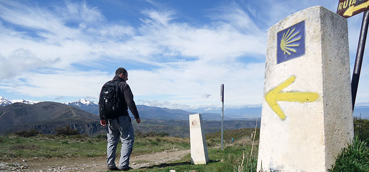 The Scallop Shell And Other Symbols of The Camino