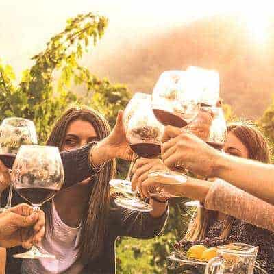 group wine tour on the camino