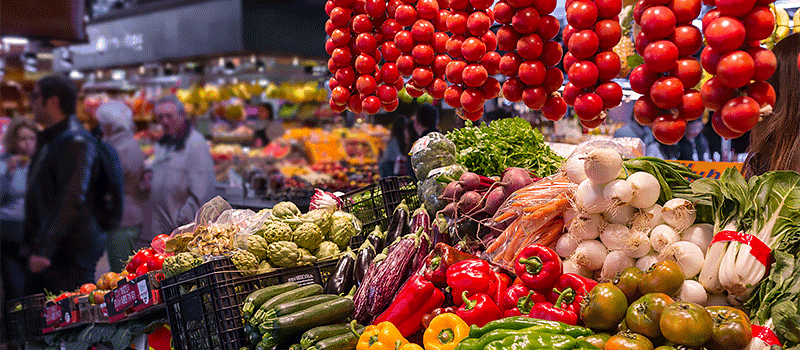 Vegan on the Camino de Santiago food