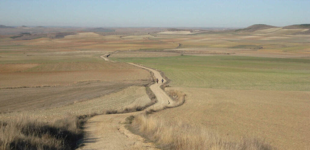  pilger auf dem Jakobsweg