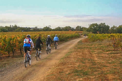 bicycles on the Camino de Santiago