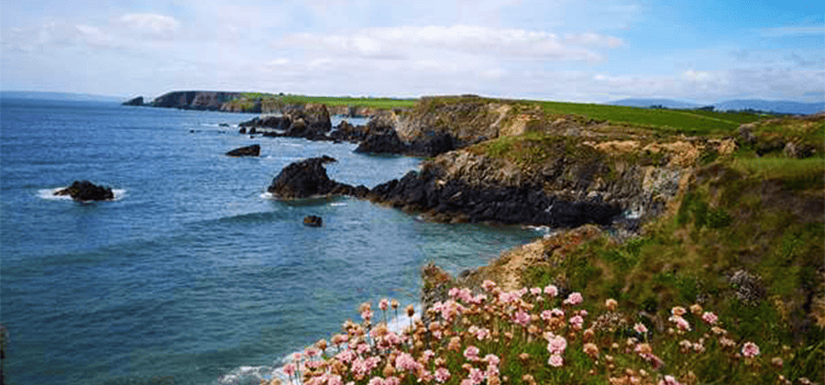 rugged coast of Ireland
