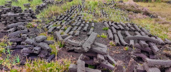 peat that has been dug out of the bog, drying