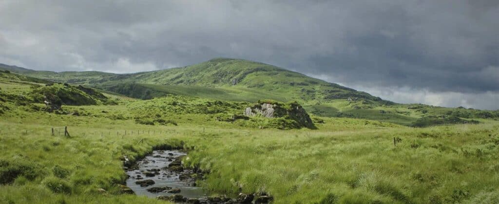 carbon offsetting in ireland for green travel