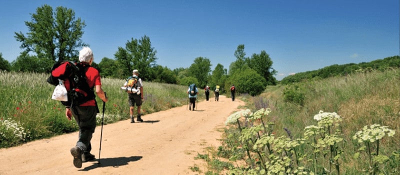 kevin kelly on the camino