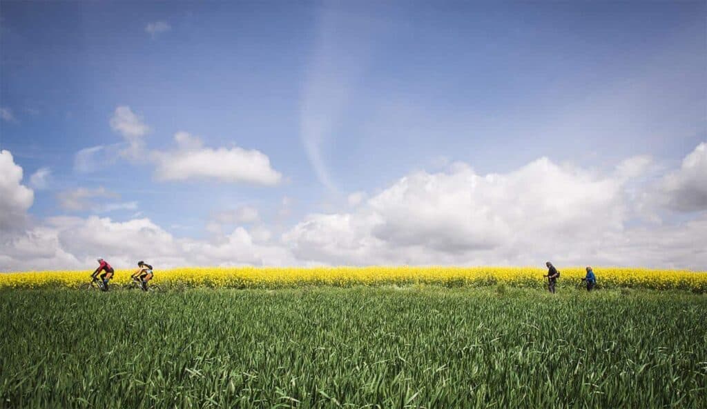 pilgrims walking and cycling