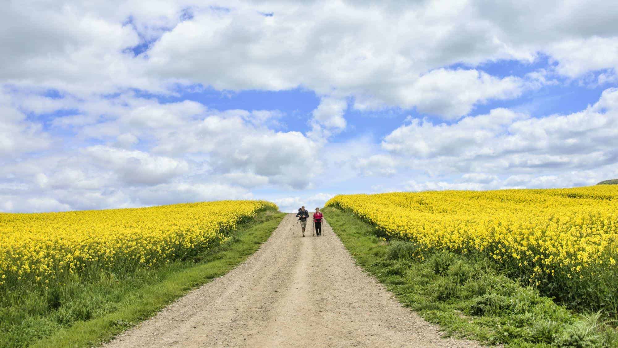 Camino de Santiago for Schools - JWT Schools