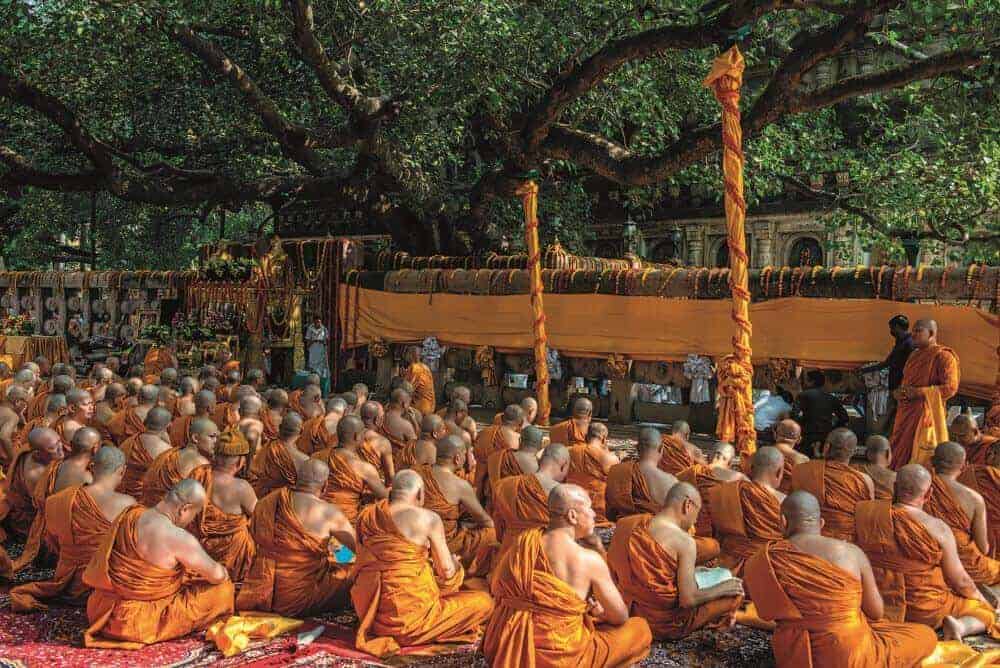 ©Hans-Joachim Aubert/Alamy Stock Photo
Monks praying in front of the Bodhi Tree where the Buddha experienced enlightenment, Bodh Gaya, India