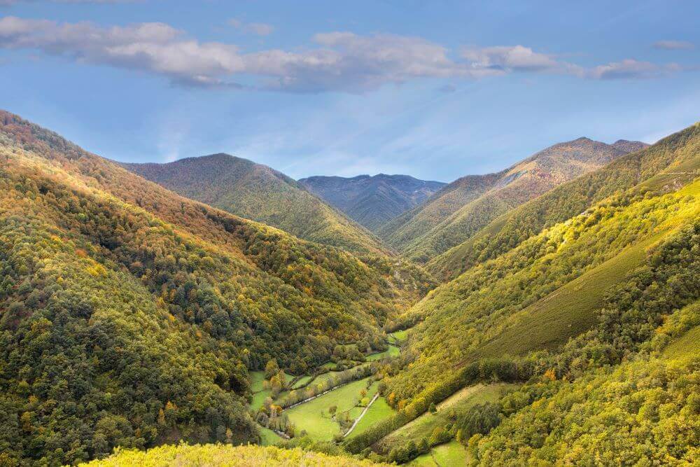 Reserva Natural Integral de Muniellos Asturias Camino