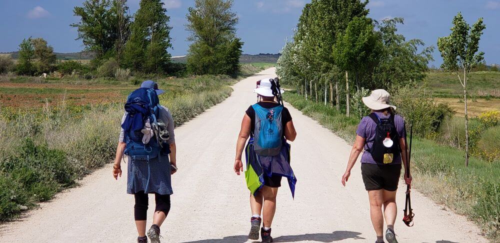 a group of pilgrims walking on a path