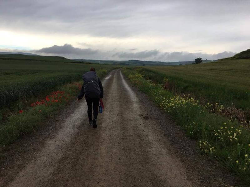 solo young woman walking the camino