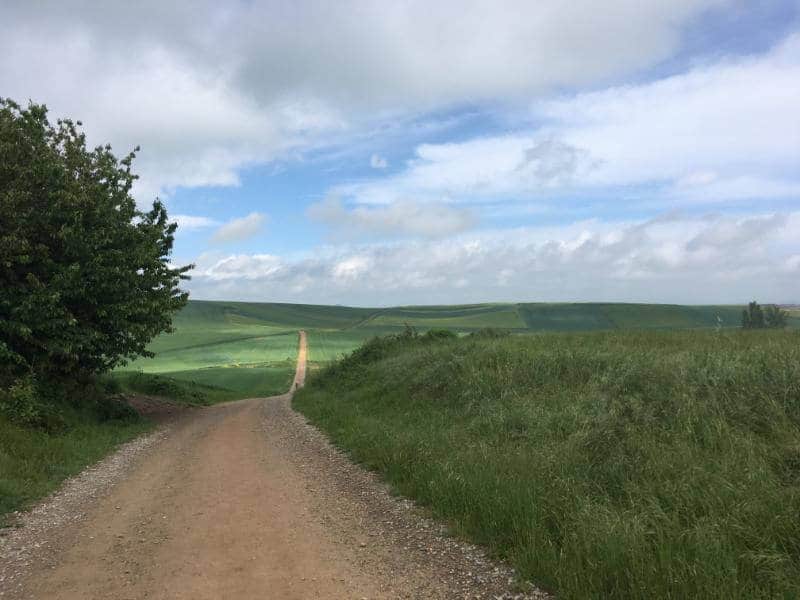 the camino de santiago path way of saint james