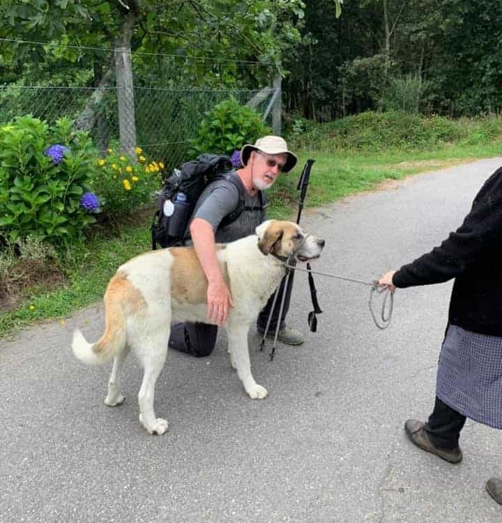 a picture of a pilgrim with a dog