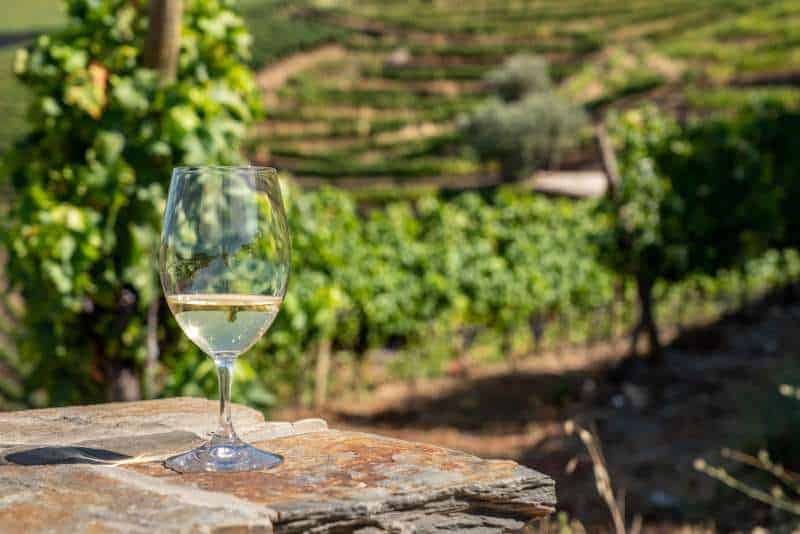 There are plenty of wines to sample along the Camino Portuguese