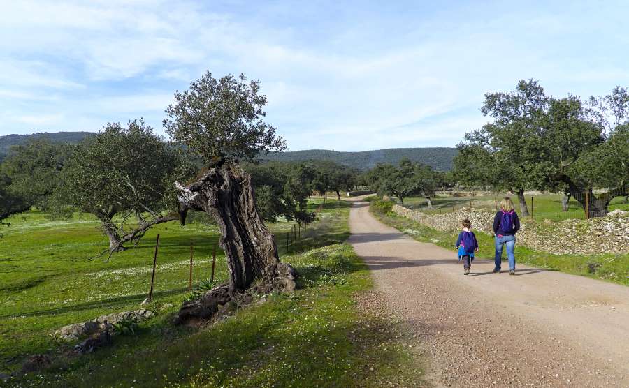 a picture of a mother and daughter walking through the valley on a path which leads to the forest on the via de la plata