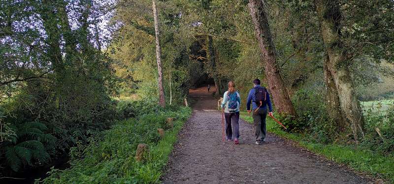 FAQ Camino people walking