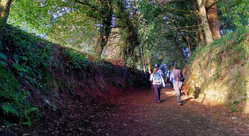 couple on the Camino