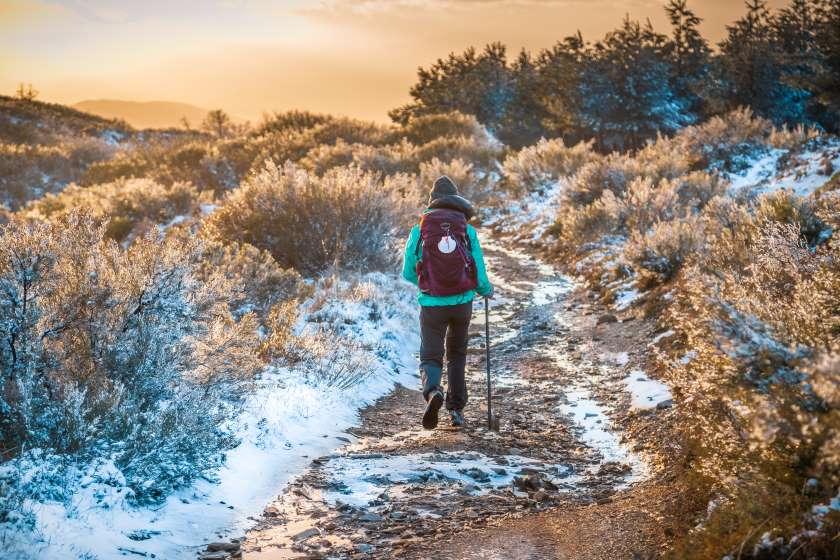 pilgrim walking the camino in winter