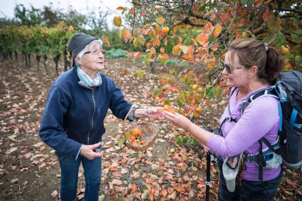 Camino helper