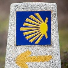 Camino de Santiago arrow