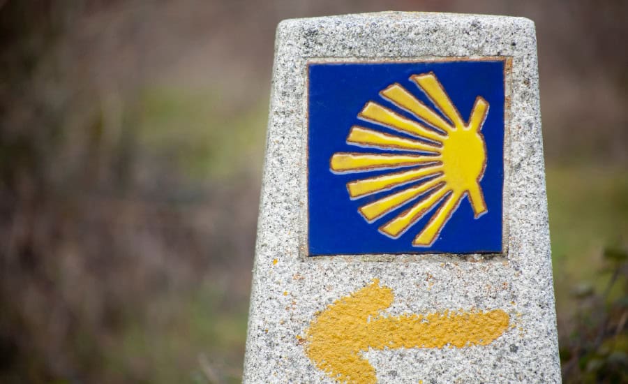 Camino de Santiago arrow