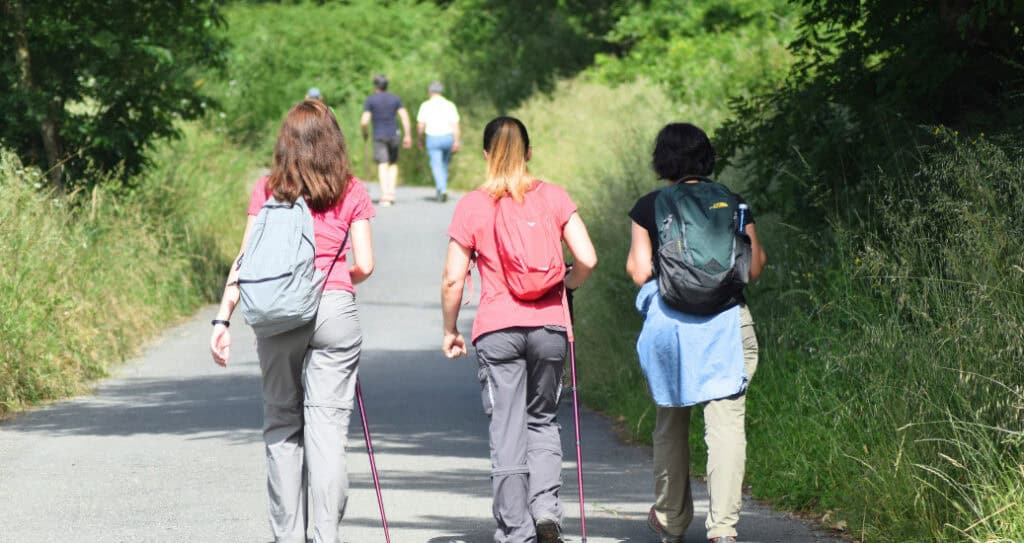 Pilgrims walking through camino frances