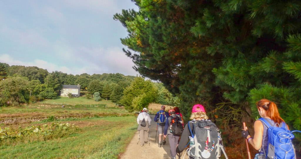 Pilgrims walking through camino in saria