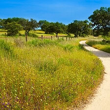 Via de la plata landscape