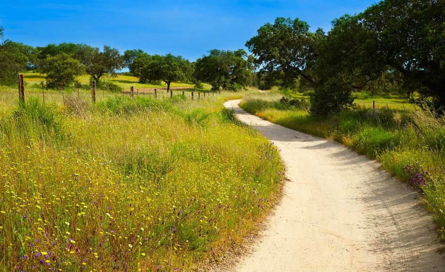Via de la plata landscape