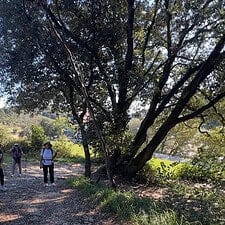 Group camino santiago