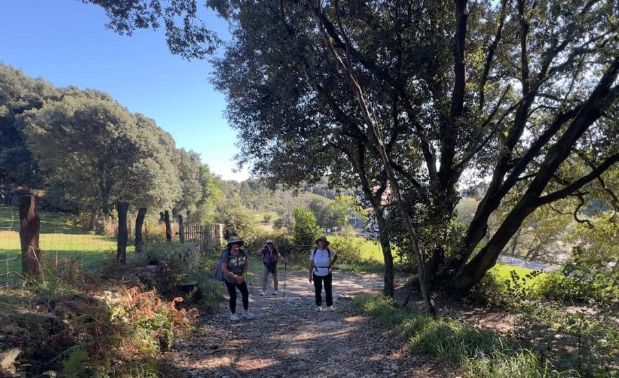 Group camino santiago