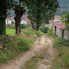 Camino Primitivo grado salas