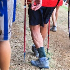 Trekking poles