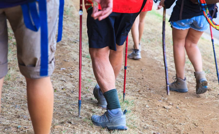 Trekking poles
