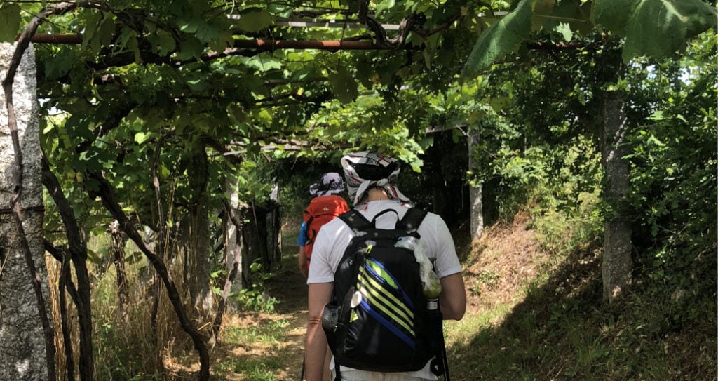 Camino Portugues - Pilgrims and grapes