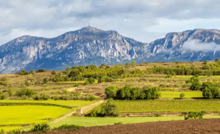 camino frances pirineos